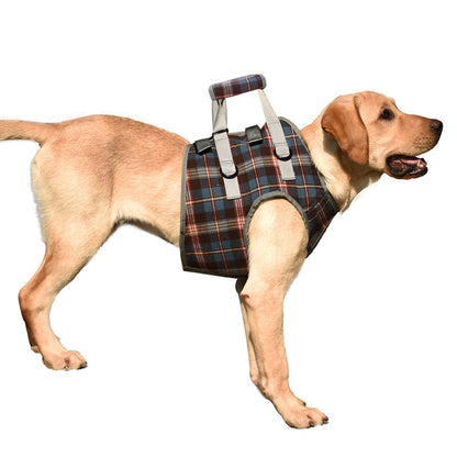 BowLift | Orthopedic Strap for Hind Legs