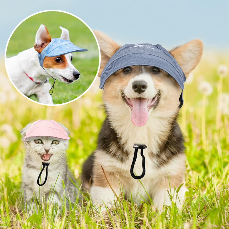 BowLift | Outdoor Sun Protection Hood for Dogs