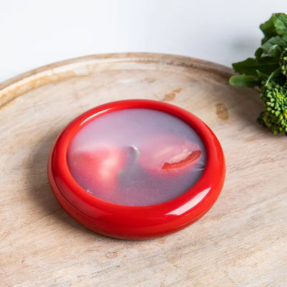 Brehn | FreshGuard Reusable Food Protection Box