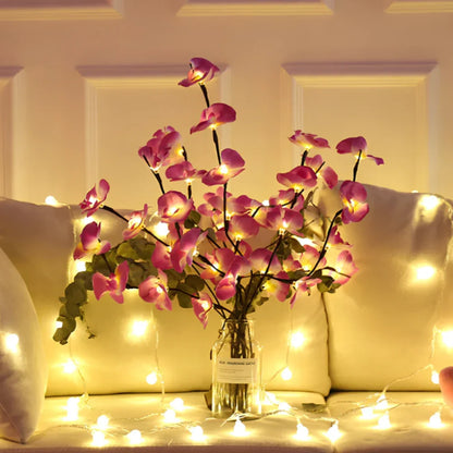 BowLift | Lighted Branches