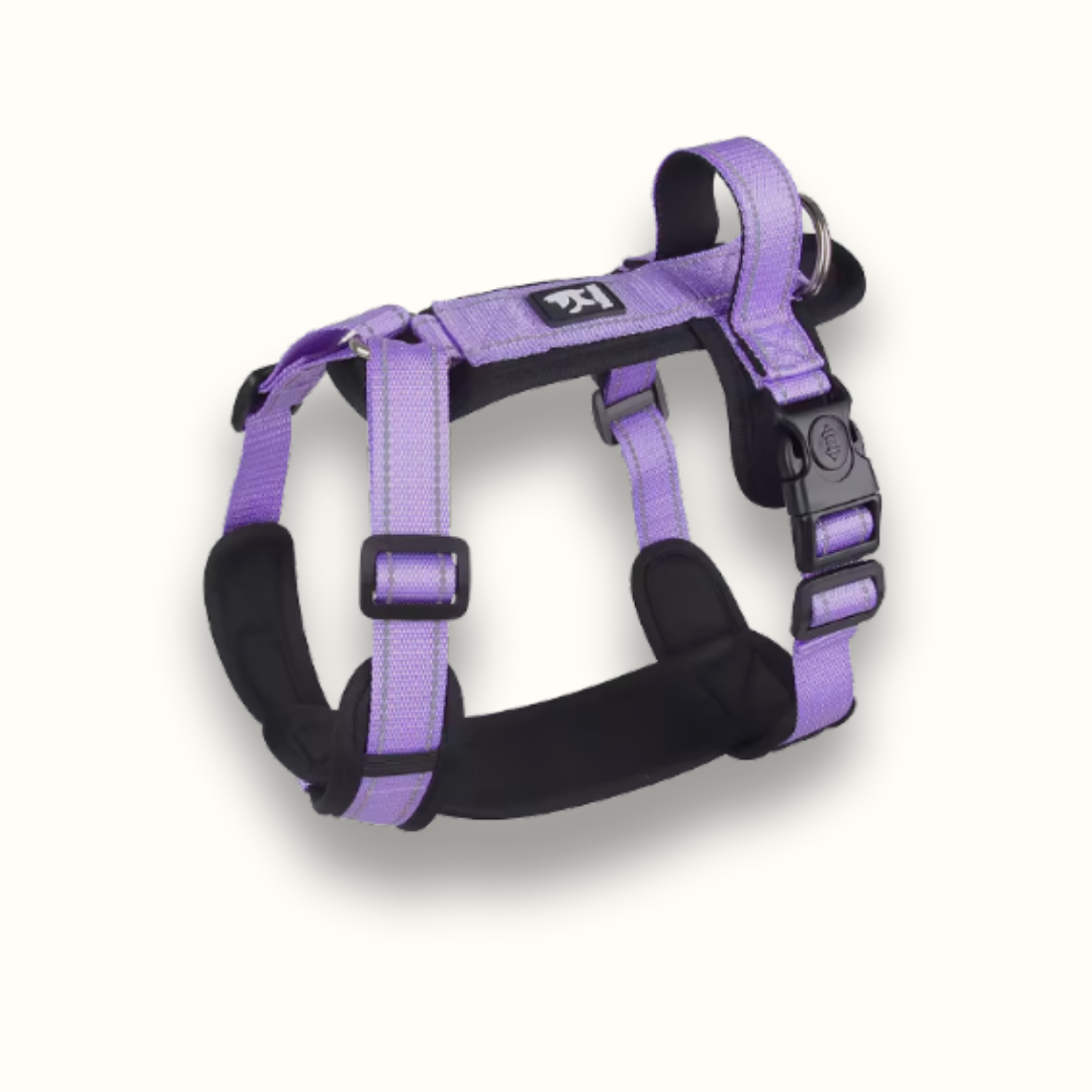 Skanto | StayPut - Adjustable No-Pull Dog Harness