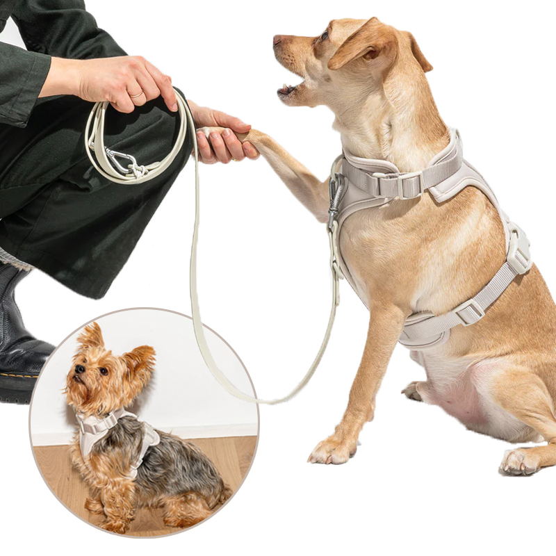 Skanto | Adjustable Dog Vest Harness with 3 Leash Clips