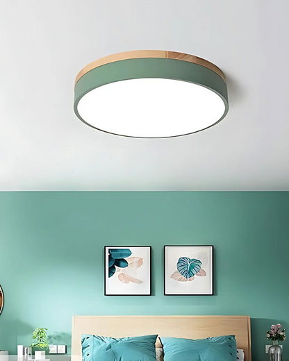 Skanto | Modern Pendant Light with Nature-Inspired Form