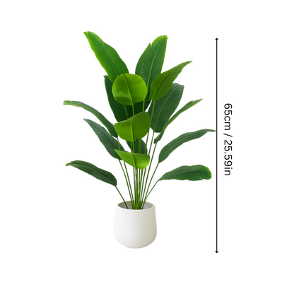 Skanto | EverGreen