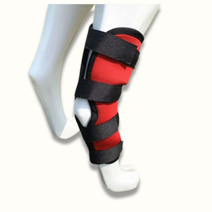 Skanto | PawBrace - Orthopedic Dog Leg Brace
