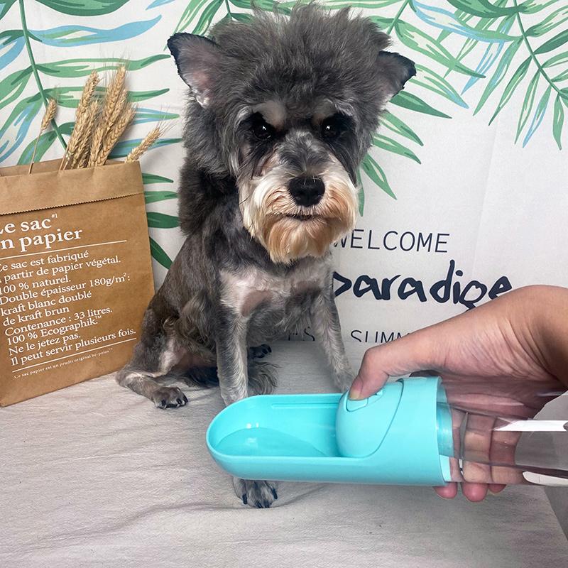 BowLift | Portable Puppy Water Dispenser