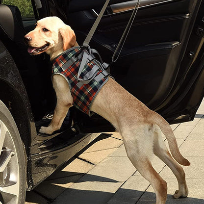 Orthopedic Rear Leg Harness