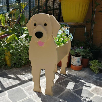 BowLift | Unique Pet Planter