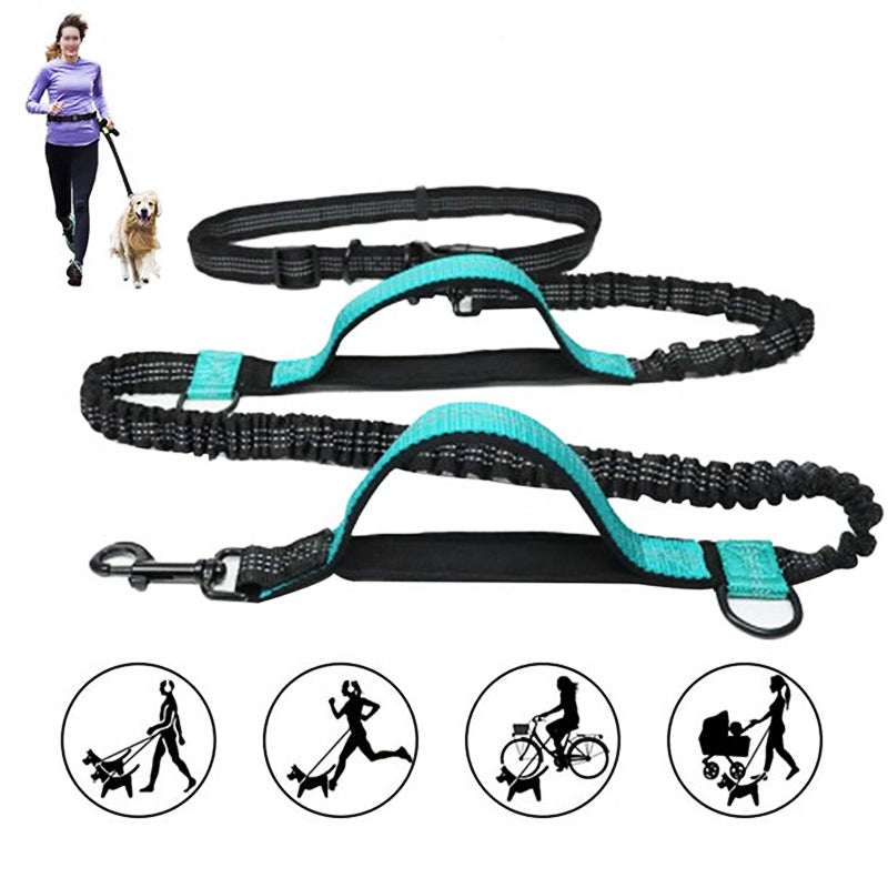 Skanto | Hands Free Dog Leash Set For Running