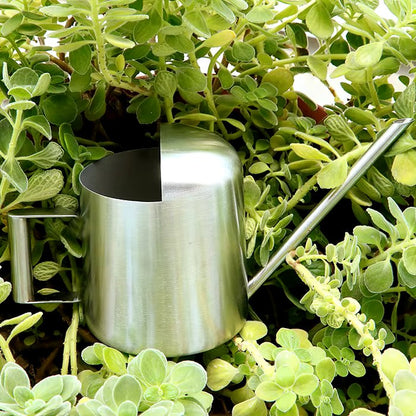 BowLift | Stainless Steel Watering Can for Indoor & Outdoor Plants – 300ML Long Spout