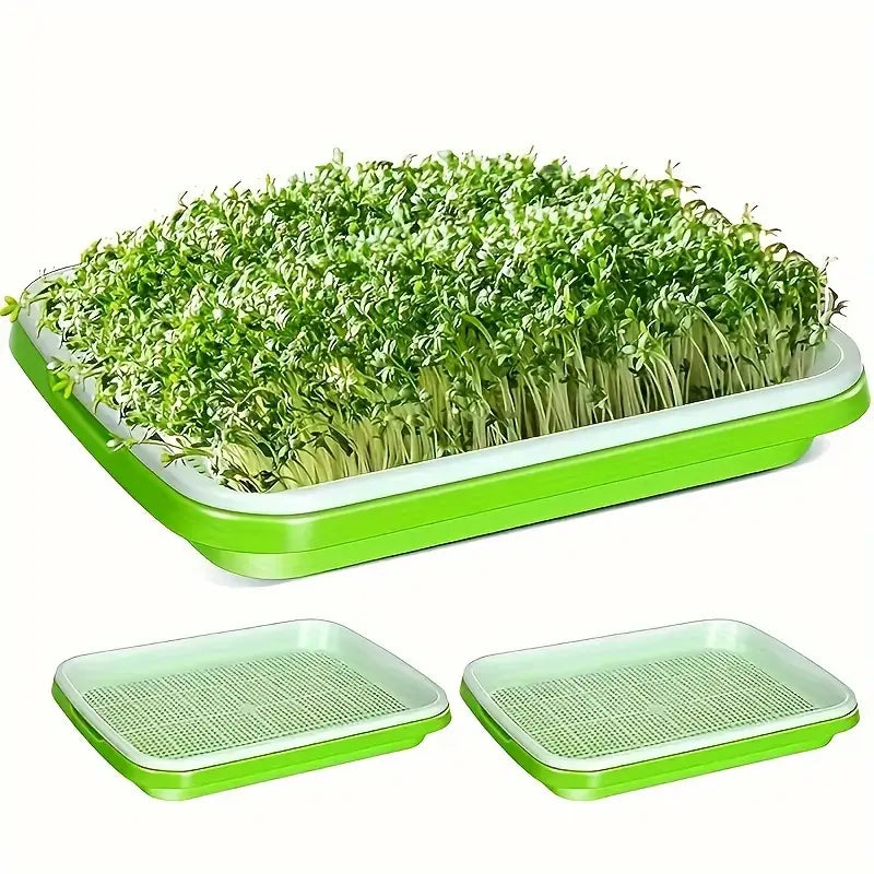 Skanto | Seedling Tray with Lid – Double-Layer Seedling Tray for Efficient Seed Germination