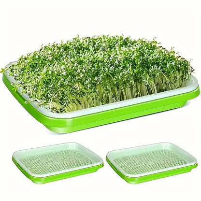 Skanto | Seedling Tray with Lid – Double-Layer Seedling Tray for Efficient Seed Germination