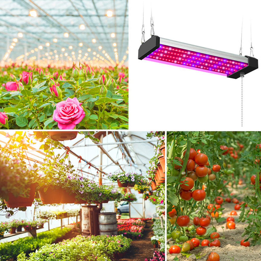Skanto | LED Grow Light with Full Spectrum Lighting and Pull Switch for Optimal Plant Growth
