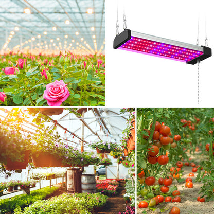 Skanto | LED Grow Light with Full Spectrum Lighting and Pull Switch for Optimal Plant Growth