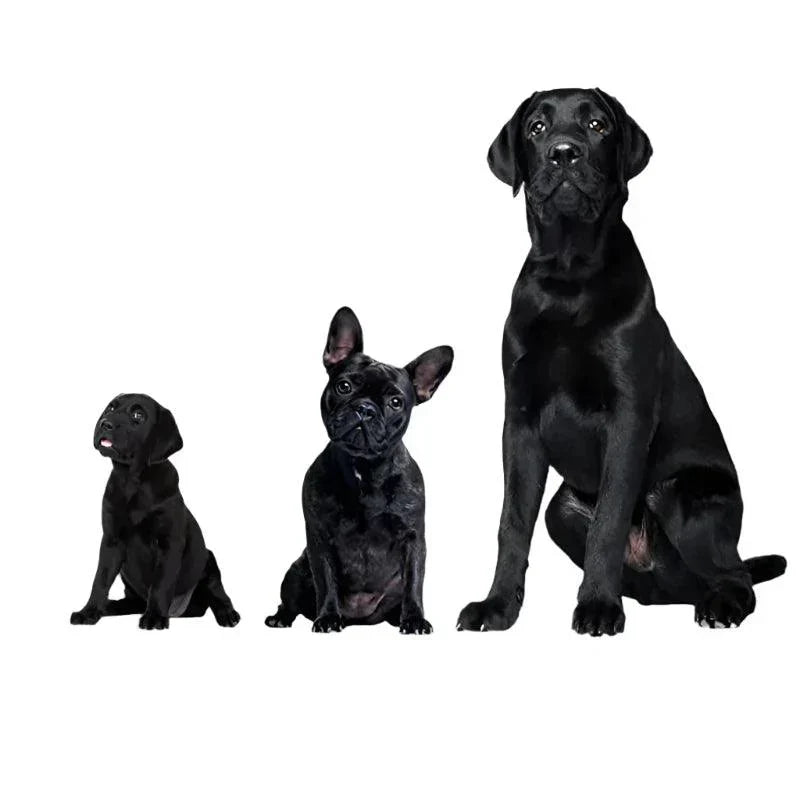 BowLift | Ultrasonic Dog Repeller – USB Rechargeable Anti-Bark Training Device for All Breeds