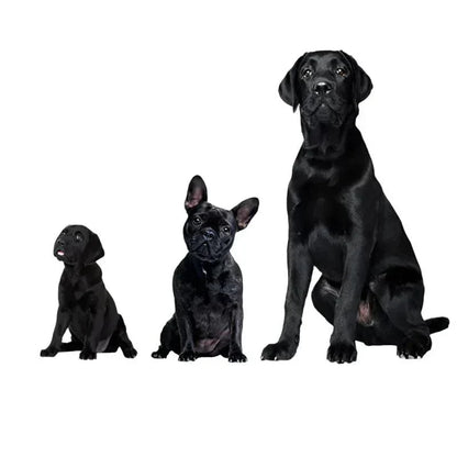 BowLift | Ultrasonic Dog Repeller – USB Rechargeable Anti-Bark Training Device for All Breeds