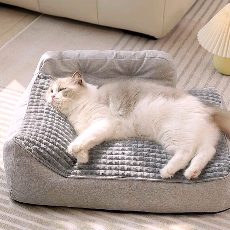 Ultra-comfortable orthopedic dog bed with Terylene fabric | Brehn
