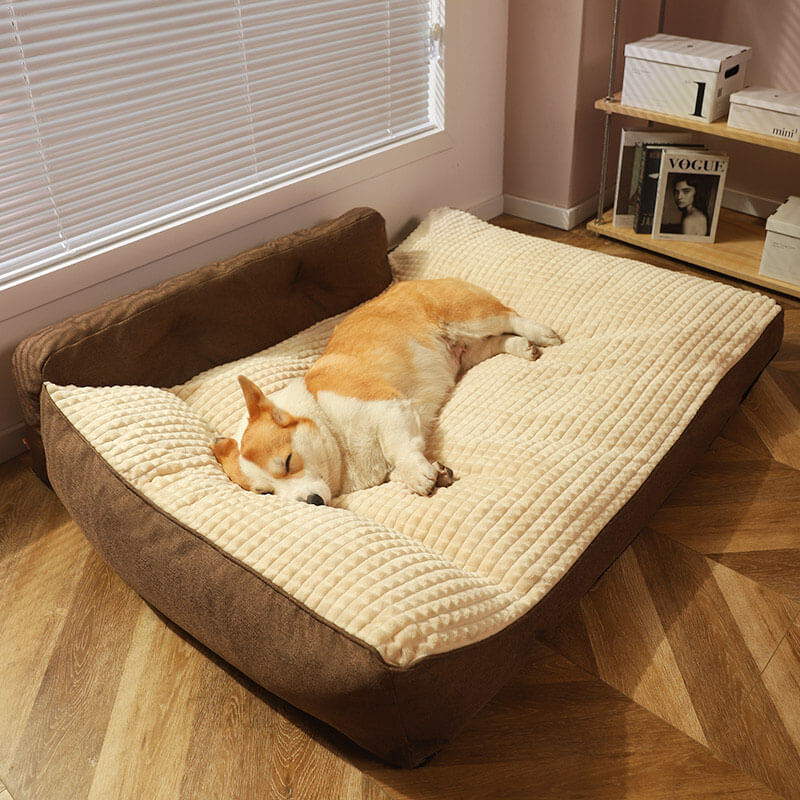 Ultra-comfortable orthopedic dog bed with Terylene fabric | Brehn