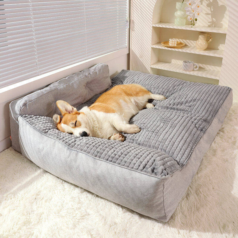 Ultra-comfortable orthopedic dog bed with Terylene fabric | Brehn