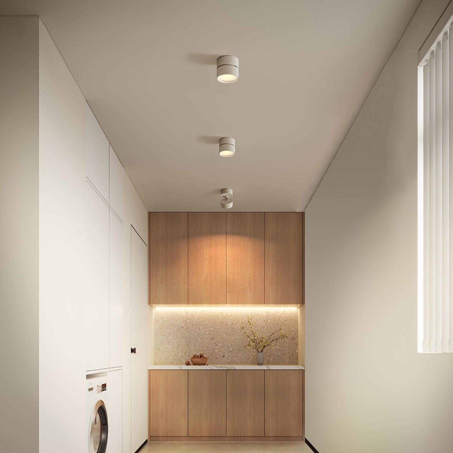 Adjustable LED Spotlight Ceiling Fixture