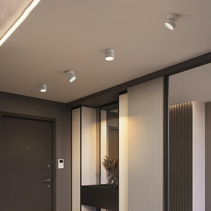 Adjustable LED Spotlight Ceiling Fixture