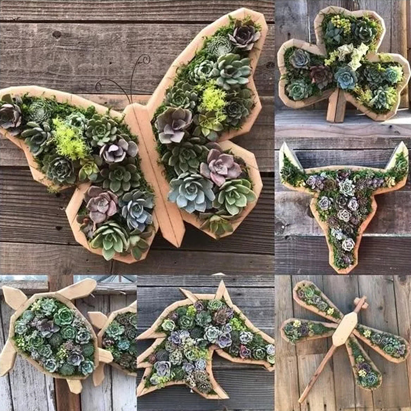 Animal Succulent Garden Arrangement | Bowlift