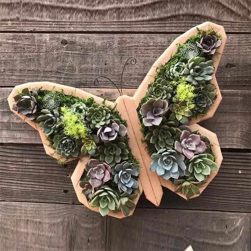 Animal Succulent Garden Arrangement | Bowlift