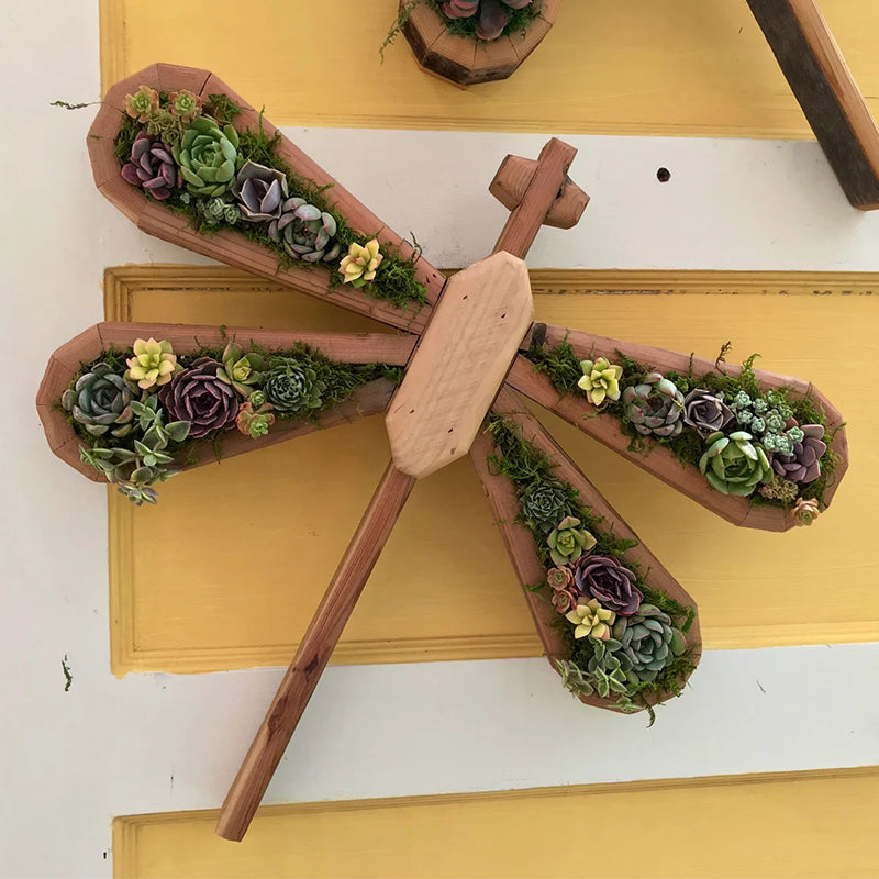 Animal Succulent Garden Arrangement | Bowlift