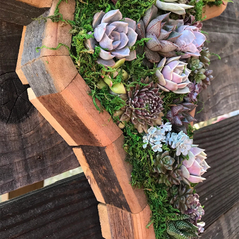 Animal Succulent Garden Arrangement | Bowlift