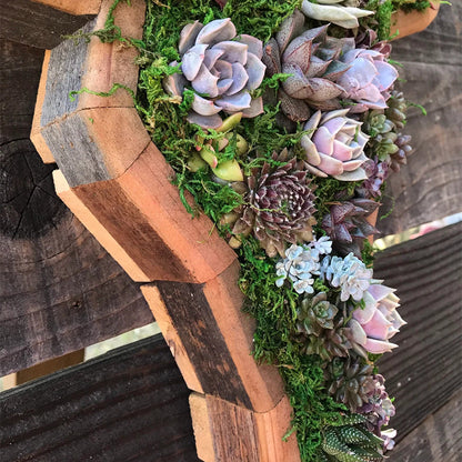 Animal Succulent Garden Arrangement | Bowlift