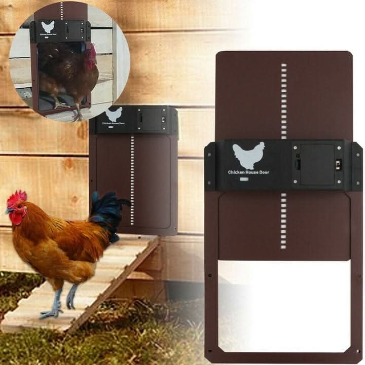 Skanto | Automatic Coop Door with Light Sensor and Weather Protection