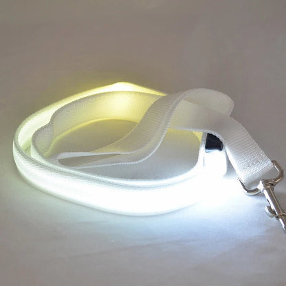 BowLift | LED dog leash with USB charging & reflective design