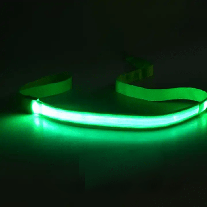 BowLift | LED dog leash with USB charging & reflective design