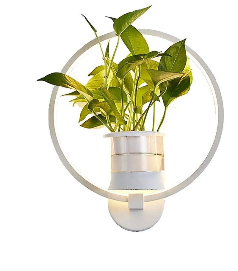 Frendorf | Botanical Wall Light with Plant | Stylish Wall Lighting