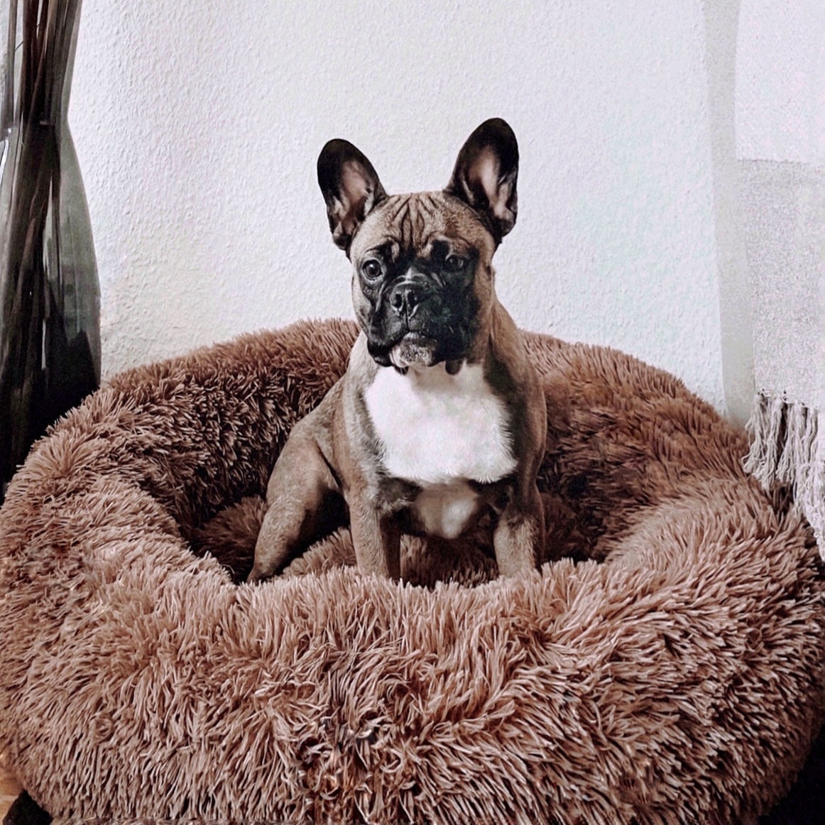 Skanto | FluffyNest Comfort Dog Bed – Orthopedic Plush Sleeping Pad for Dogs