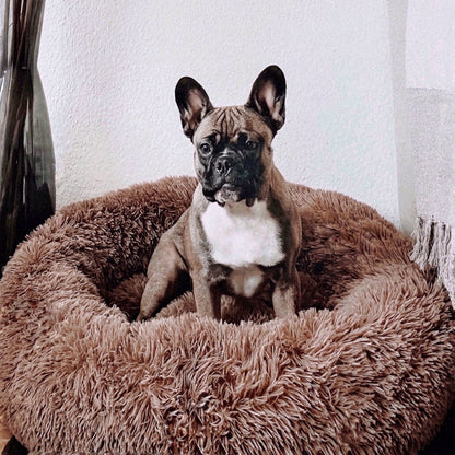 Skanto | FluffyNest Comfort Dog Bed – Orthopedic Plush Sleeping Pad for Dogs