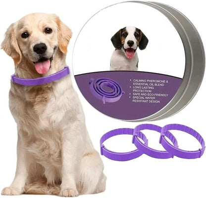 Skanto | Calming Collar with Pheromones and Essential Oils for Dogs