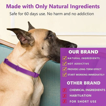 Skanto | Calming Collar with Pheromones and Essential Oils for Dogs