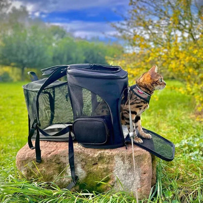 Skanto | Comfortable Cat Carrier with Viewing Window