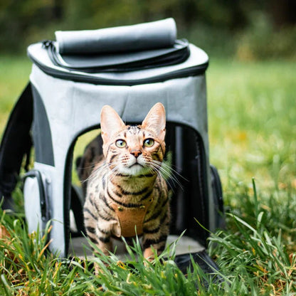 Skanto | Comfortable Cat Carrier with Viewing Window