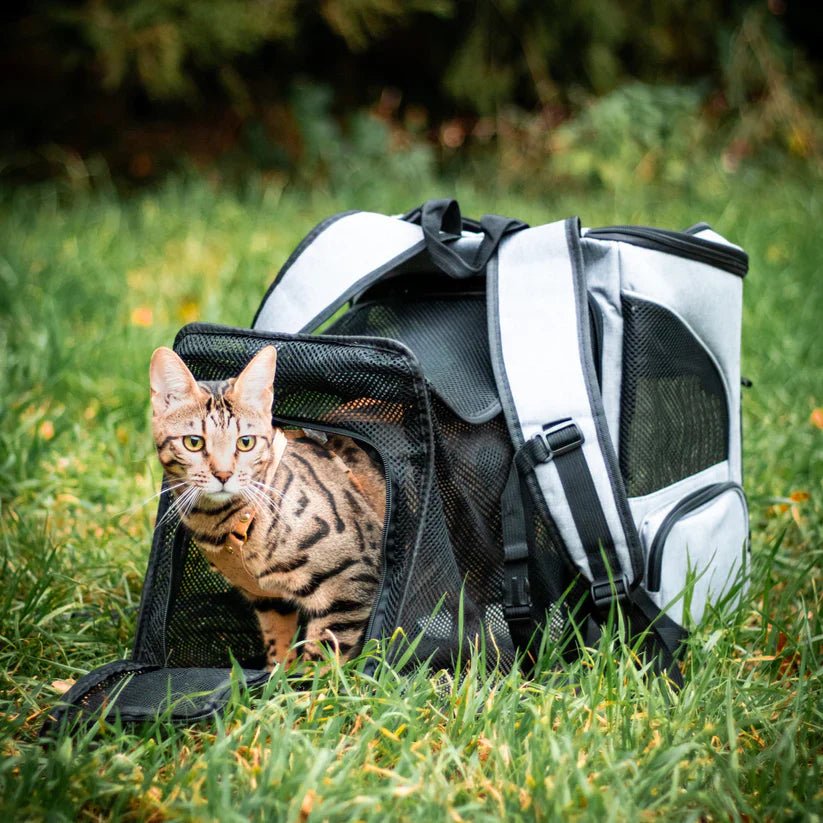Skanto | Comfortable Cat Carrier with Viewing Window