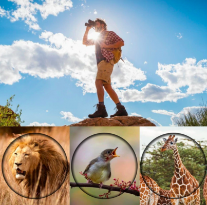 Karnz | Binoculars High Performance Night Vision Waterproof