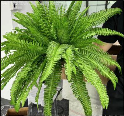BowLift | UV Resistant Lifelike Artificial Boston Fern