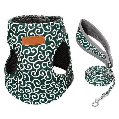 BowLift | Cat vest harness and leash set for walks