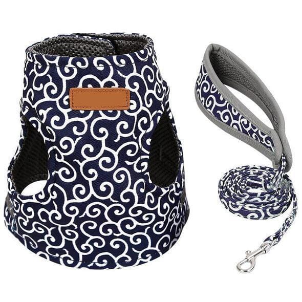 BowLift | Cat vest harness and leash set for walks