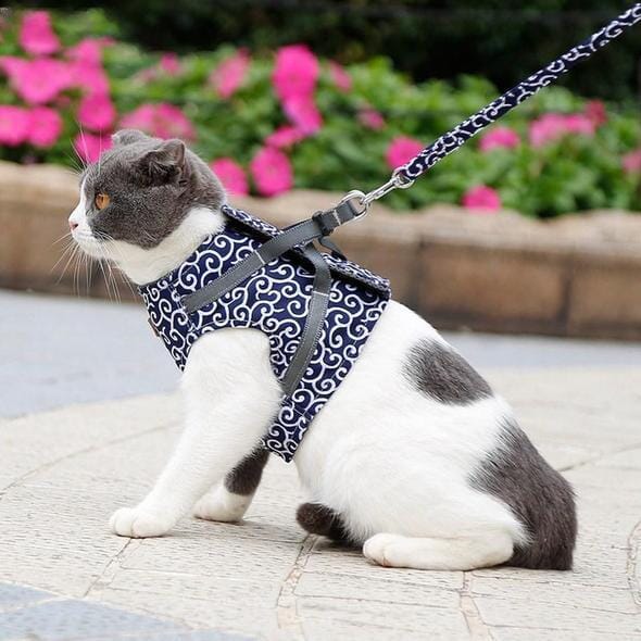 BowLift | Cat vest harness and leash set for walks