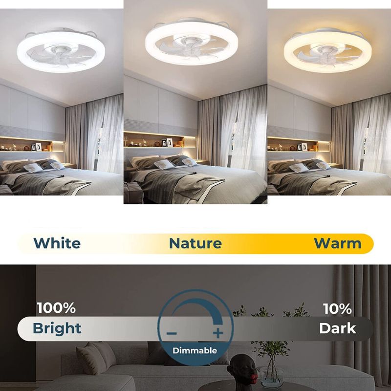 BowLift | Modern Ceiling Fan with LED Lights