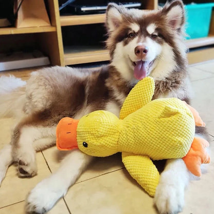 Skanto | Calming Duck for Dogs