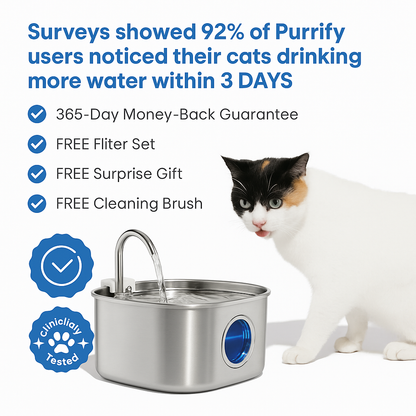 Skanto | Skanto Felindra Cat Water Fountain | Stainless Steel | Flowing Water for Better Hydration | Quiet & Hygienic | 2,5 L Capacity