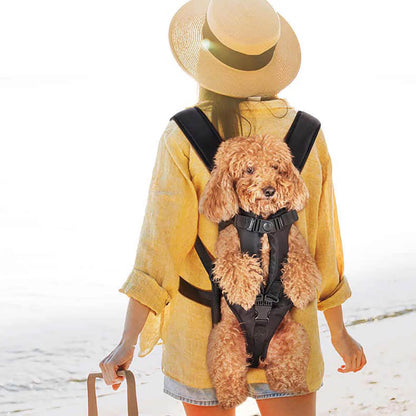 Skanto | Cockpit Dog Carrier – Comfortable Bag for Small Dogs